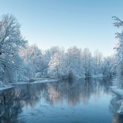 #bioPGH Blog: Icy Science!