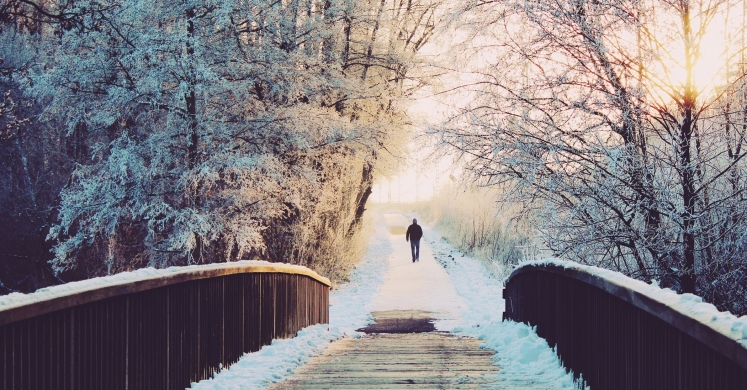 #bioPGH Blog: Five Ways to Explore Nature in December #bioPGH Blog: Five Ways to Explore Nature in December
