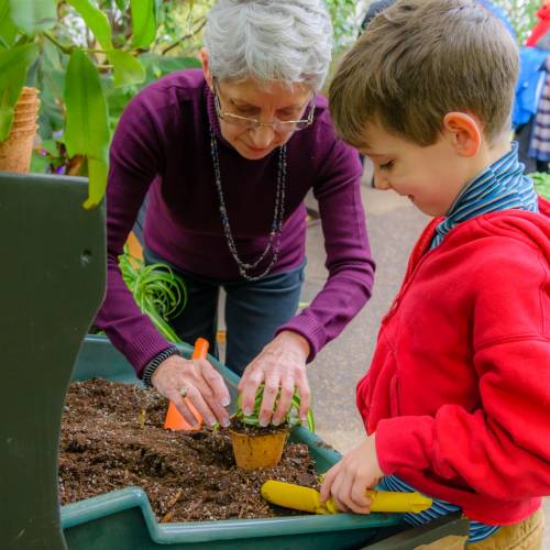 Health in Motion: Phipps Discovery Education