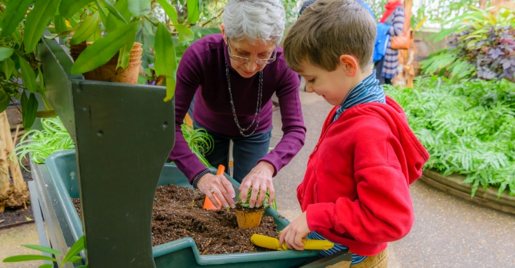 Health in Motion: Phipps Discovery Education