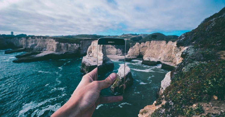 The Biophilic Mind: Noticing Nature with your Phone The Biophilic Mind: Noticing Nature with your Phone