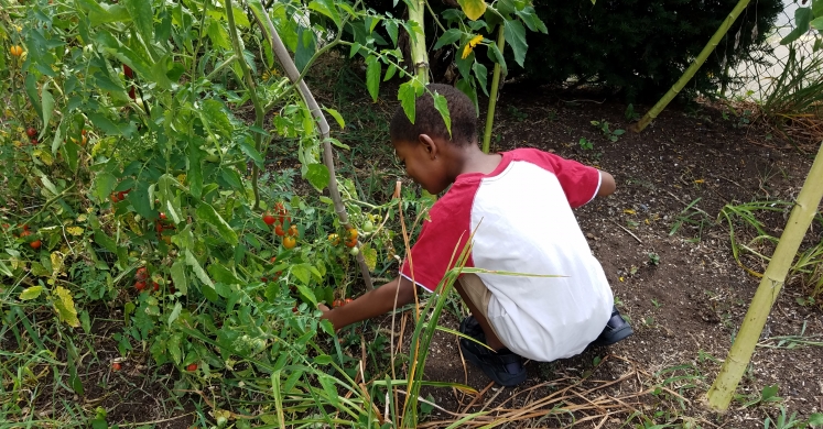 Health in Motion: Mt. Washington Children’s Center