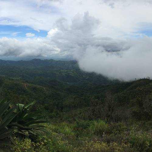 Begonias, Biospheres and Coffee in Cuba