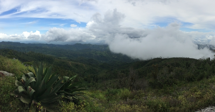 Begonias, Biospheres and Coffee in Cuba