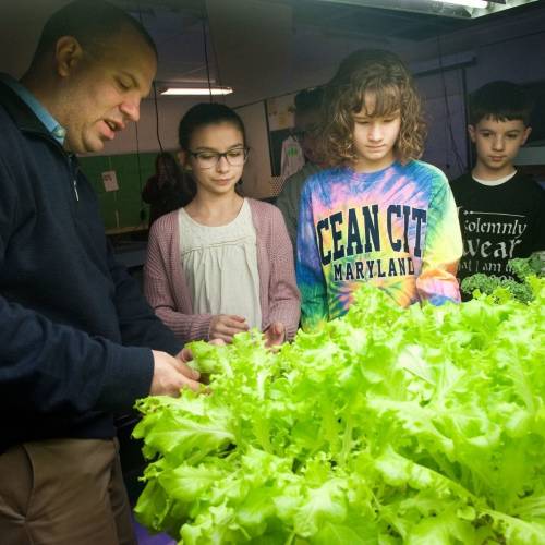 Center Elementary School: Growing a Healthy and Eco-Friendly School Community