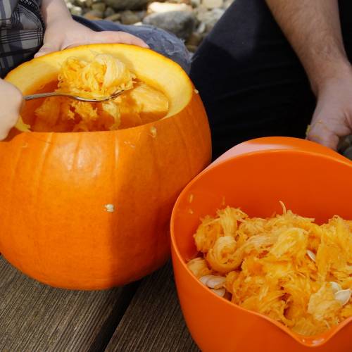 Pizza Roasted Pumpkin Seeds