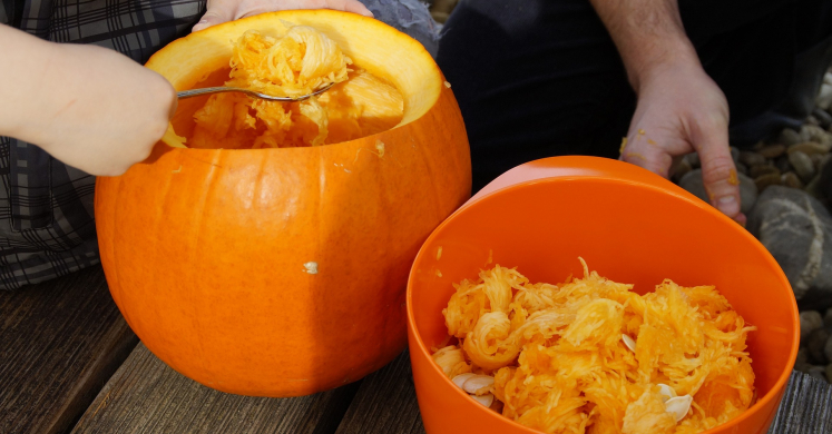 Pizza Roasted Pumpkin Seeds