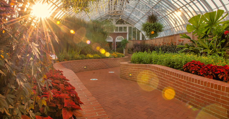 Phipps Regenerative Response to COVID-19 (March 14 – Oct. 22, 2020) Phipps Regenerative Response to COVID-19 (March 14 – Oct. 22, 2020)