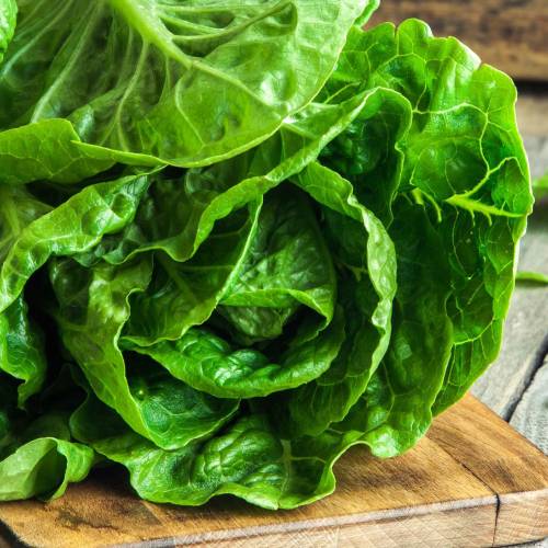 What We’re Cooking With Now: Romaine Lettuce