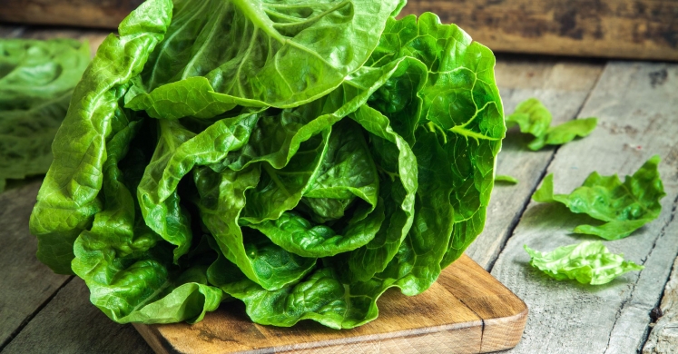 What We’re Cooking With Now: Romaine Lettuce