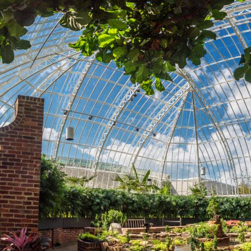 South Conservatory Restoration Completed