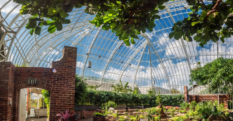 South Conservatory Restoration Completed