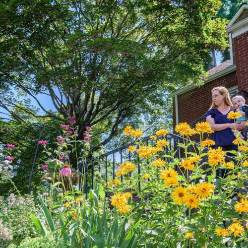 Small Gardens, Big Impact: The Marker Garden, Hazelwood