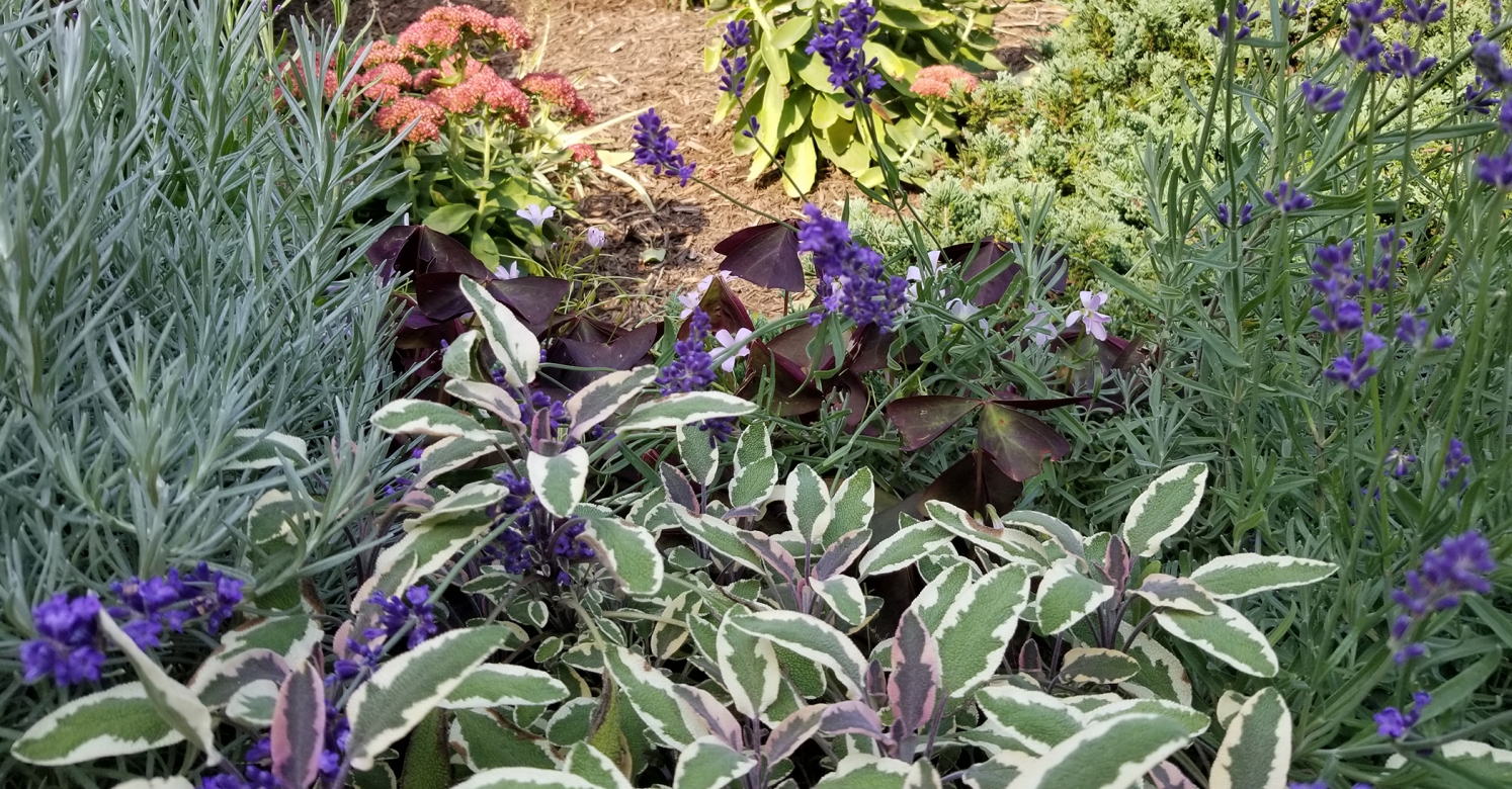 Small Gardens Big Impact Hillside Garden In Monroeville Phipps