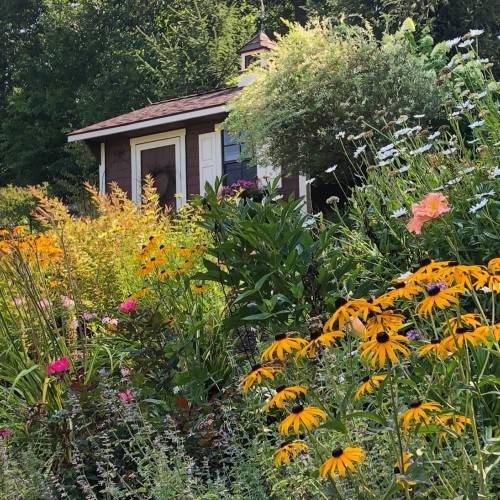 Small Garden, Big Impact: Diverse Wildlife Garden