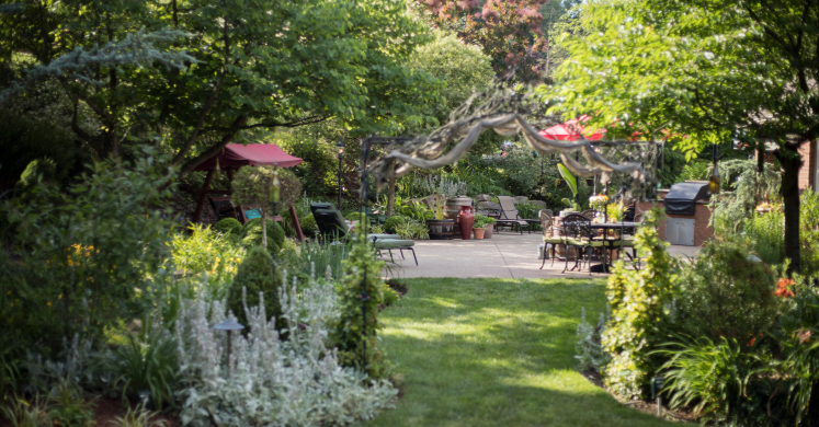 Small Garden, Big Impact: Peaceful Cottage Garden