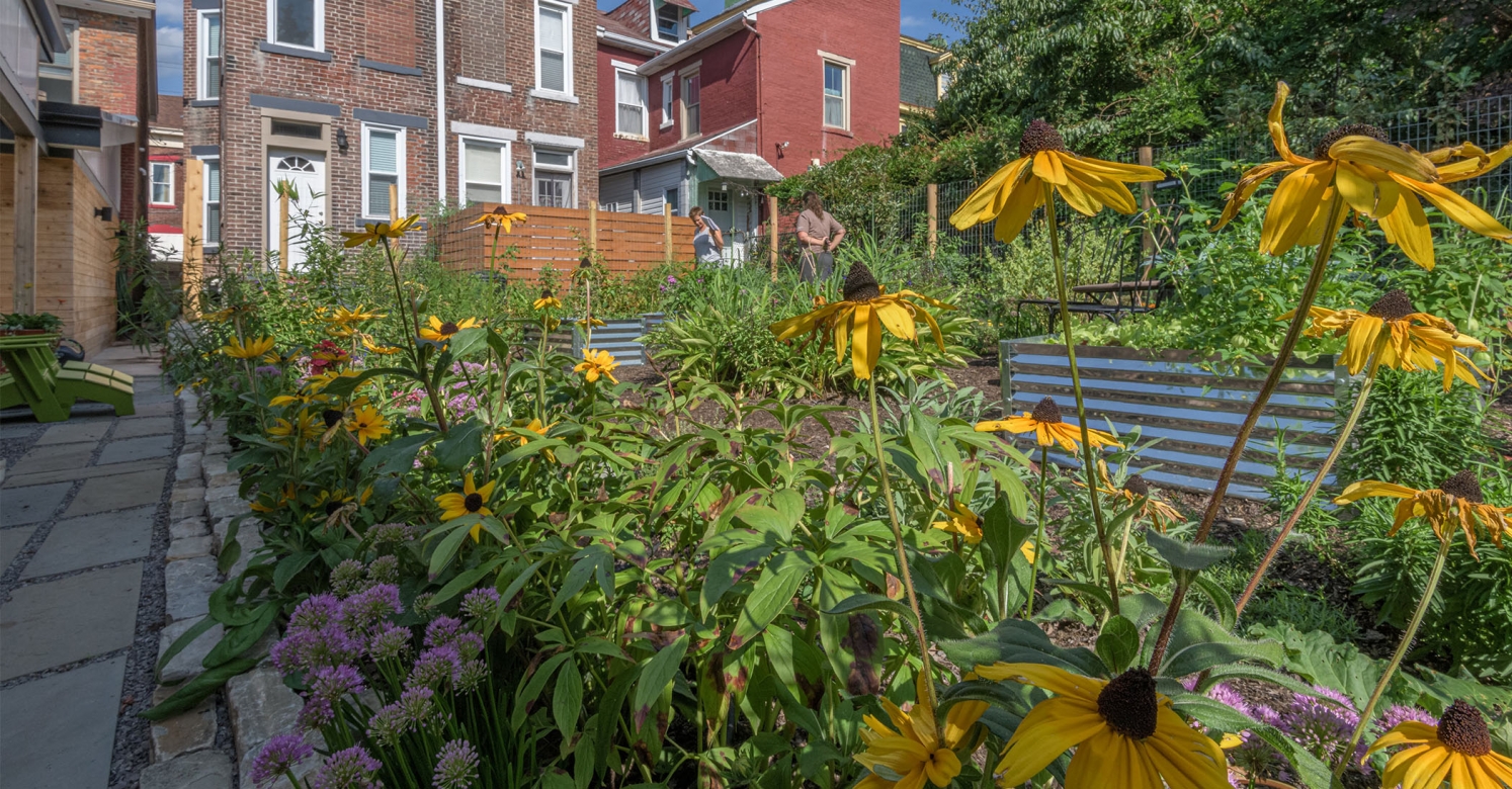 Small Gardens Big Impact Permaculture Garden In Lawrenceville