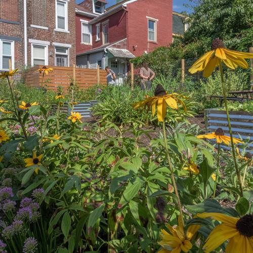 Small Gardens, Big Impact: Permaculture Garden in Lawrenceville