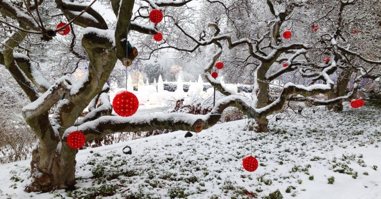 #bioPGH Blog: Snow #bioPGH Blog: Snow