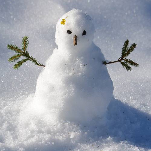 Do You Want to Build a Snowman? Ideas for Staying Active in Wintry Weather