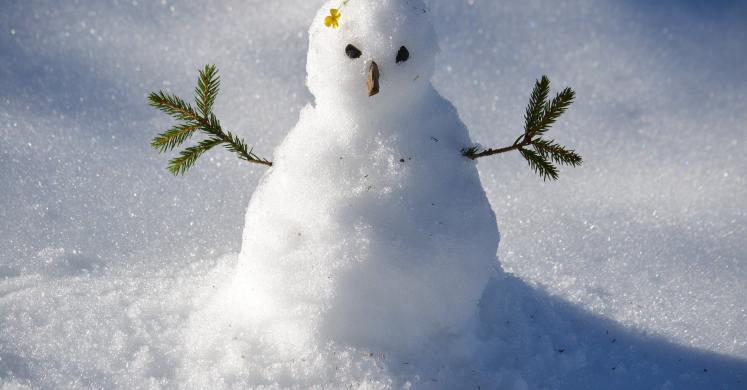 Do You Want to Build a Snowman? Ideas for Staying Active in Wintry Weather Do You Want to Build a Snowman? Ideas for Staying Active in Wintry Weather