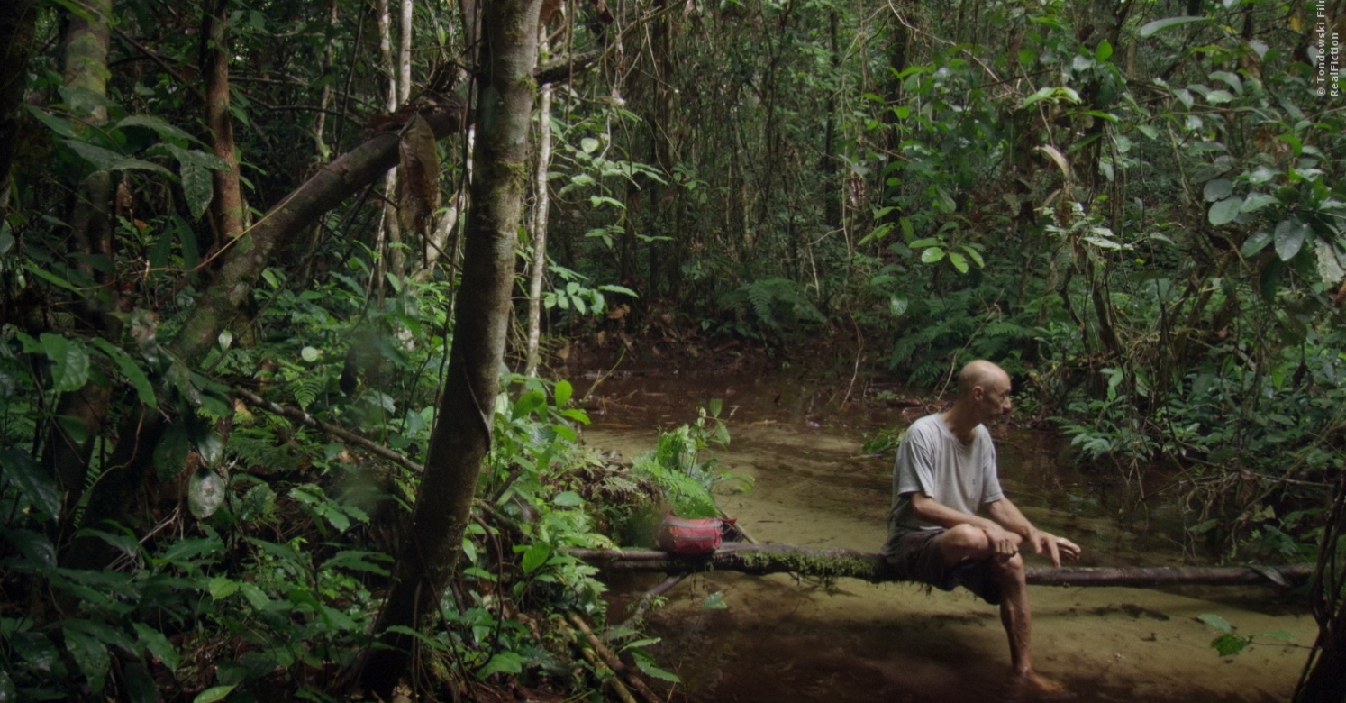Tropical Forest Congo The Movie Phipps Conservatory And Botanical Gardens Pittsburgh Pa