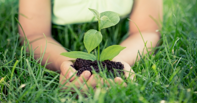 #bioPGH Blog: Making Earth Day Every Day!