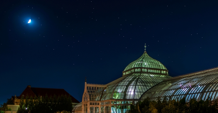#bioPGH Blog: Stargazing #bioPGH Blog: Stargazing