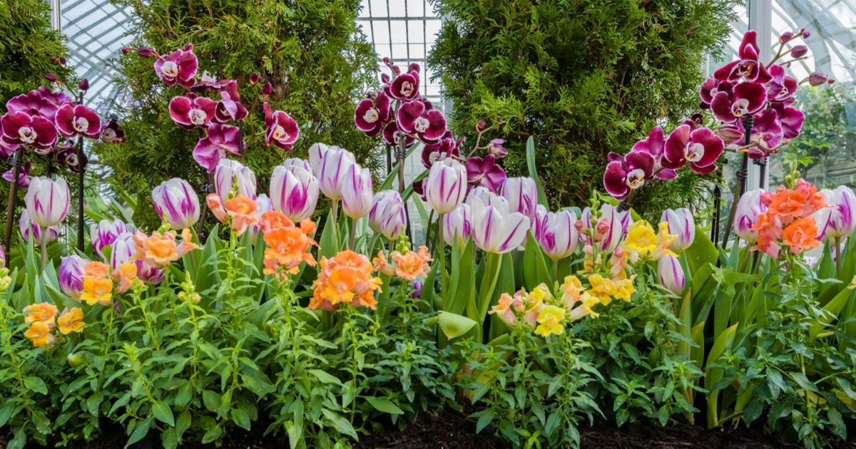 Spring In Pittsburgh Let's Stay Connected: Spring Blooms, Fun Activities to Do at Home ...