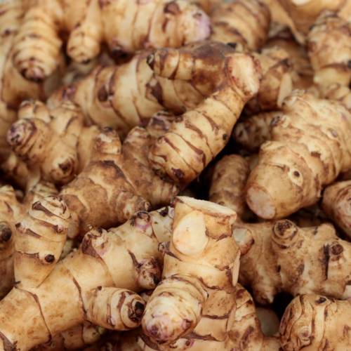 What We’re Cooking With Now: Sunchokes