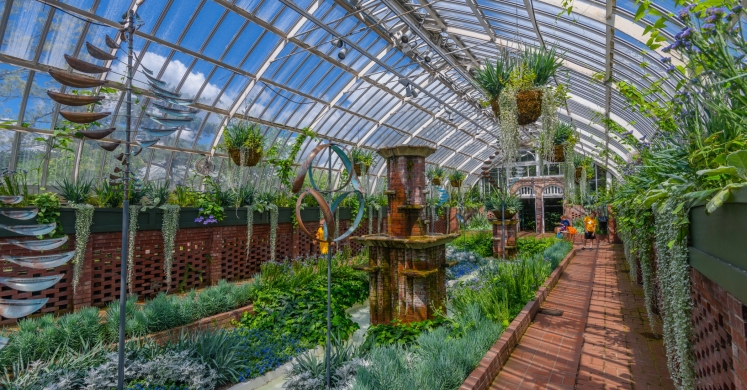 This Week at Phipps: July 30– August 5 This Week at Phipps: July 30– August 5