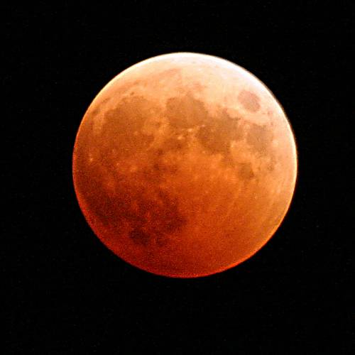 #bioPGH Blog: Supermoon Lunar Eclipse