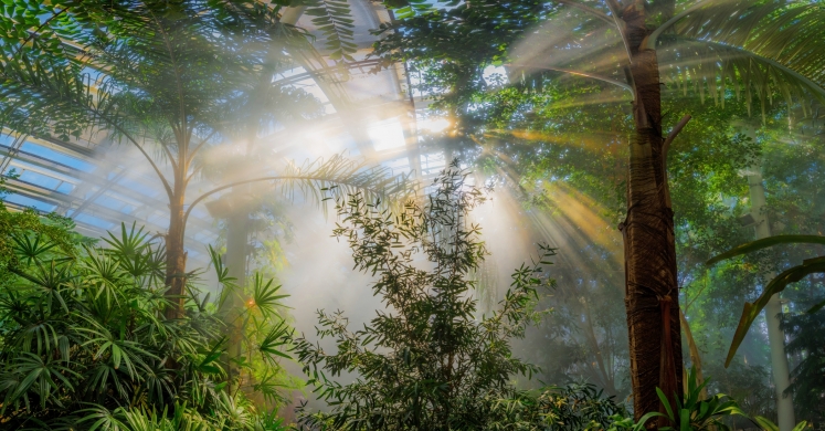 This Week at Phipps: Sept. 11 – 17 This Week at Phipps: Sept. 11 – 17