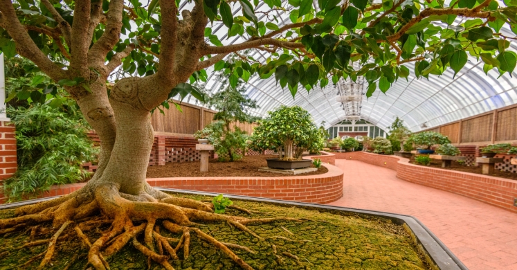 This Week at Phipps: Jan. 23 – 29 This Week at Phipps: Jan. 23 – 29