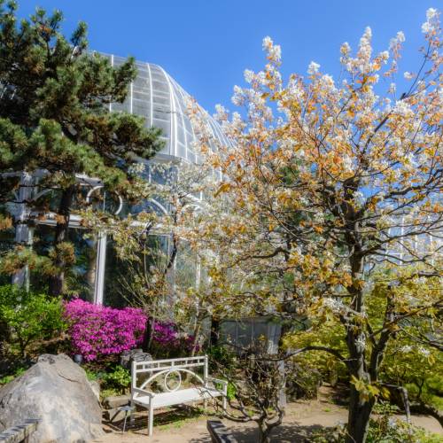 This Week at Phipps: April 24 – 30