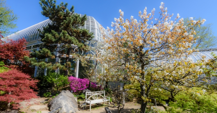 This Week at Phipps: April 24 – 30 This Week at Phipps: April 24 – 30