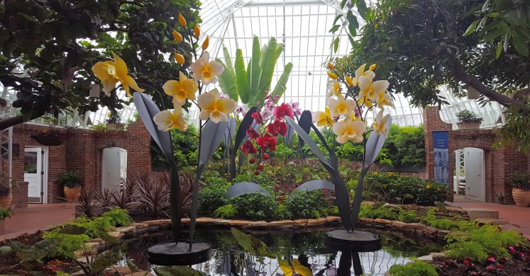 This Week at Phipps: May 1 – 7 This Week at Phipps: May 1 – 7