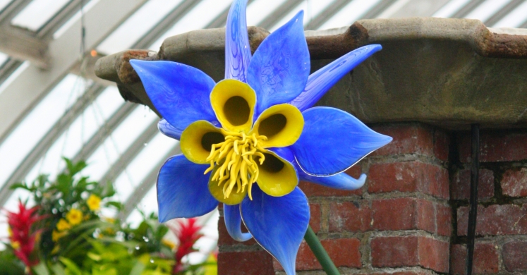 This Week at Phipps: May 8 – 14 This Week at Phipps: May 8 – 14