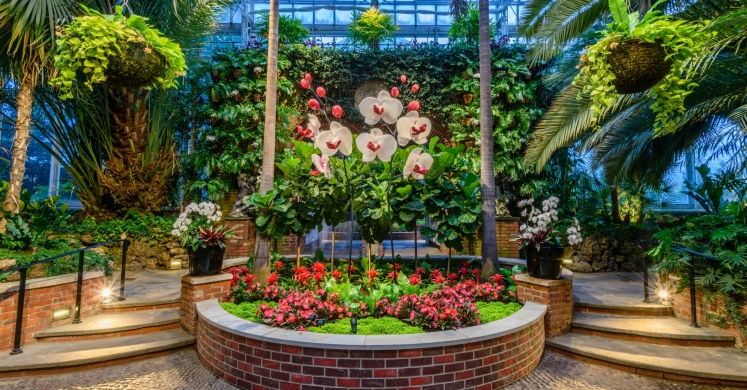 This Week at Phipps: June 12 – 18 This Week at Phipps: June 12 – 18