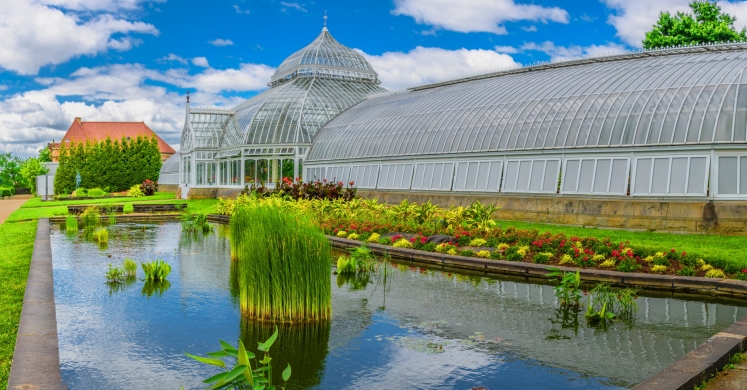 This Week at Phipps: June 26 – July 2 This Week at Phipps: June 26 – July 2