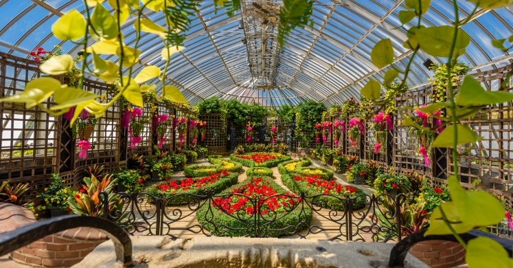 This Week at Phipps: Aug. 7 – 13 This Week at Phipps: Aug. 7 – 13