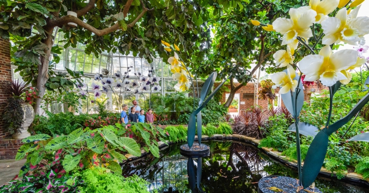 This Week at Phipps: Aug. 14 – 20 This Week at Phipps: Aug. 14 – 20