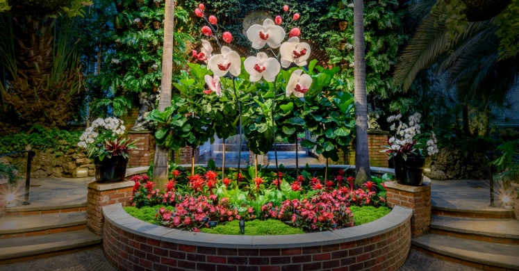 This Week at Phipps: Sept. 4 – 10 This Week at Phipps: Sept. 4 – 10