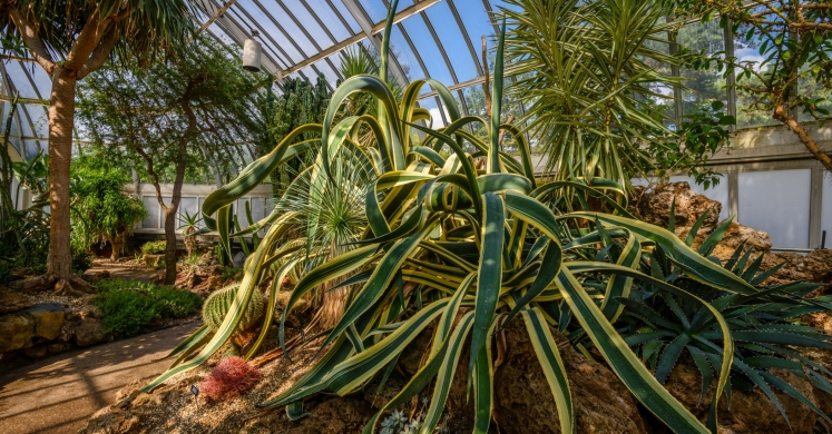 This Week at Phipps: Sept. 18 – 24 This Week at Phipps: Sept. 18 – 24