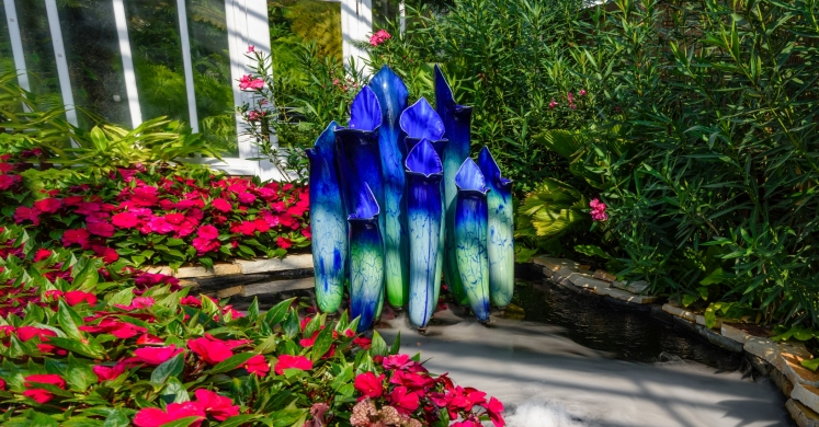 This Week at Phipps: Oct. 2 – 8 This Week at Phipps: Oct. 2 – 8