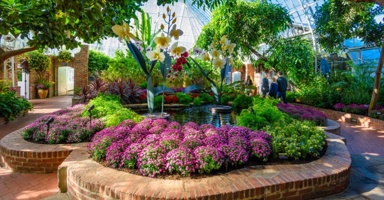 This Week at Phipps: Oct. 23 – 29 This Week at Phipps: Oct. 23 – 29