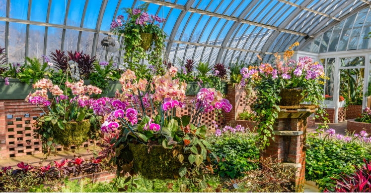 This Week at Phipps: Jan. 9 – 15 This Week at Phipps: Jan. 9 – 15