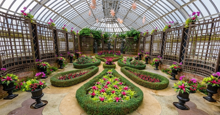 This Week at Phipps: Jan. 30 – Feb. 5 This Week at Phipps: Jan. 30 – Feb. 5