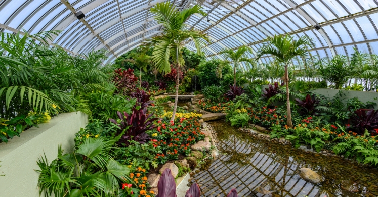 This Week at Phipps: Feb. 6 – 12 This Week at Phipps: Feb. 6 – 12
