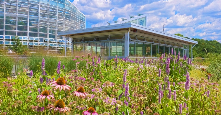 This Week at Phipps: June 19 – 25 This Week at Phipps: June 19 – 25